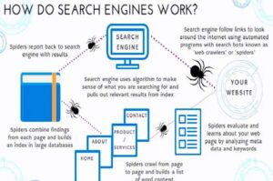 Read more about the article Cara Kerja Search Engine Secara Lengkap yang Wajib Anda Ketahui